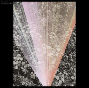 Only love from now on